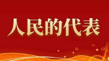 人民的代表