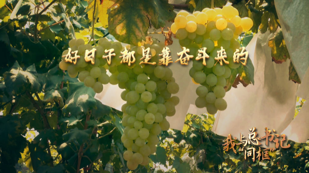 我与总书记“同框”｜好日子都是靠奋斗来的