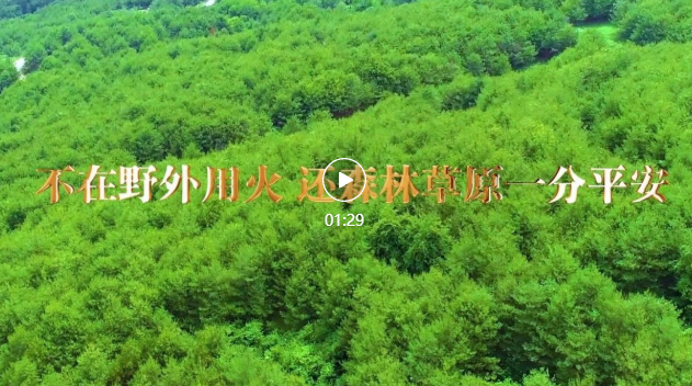 秋冬季森林草原防火宣传片②关爱森林草原 不在野外用火