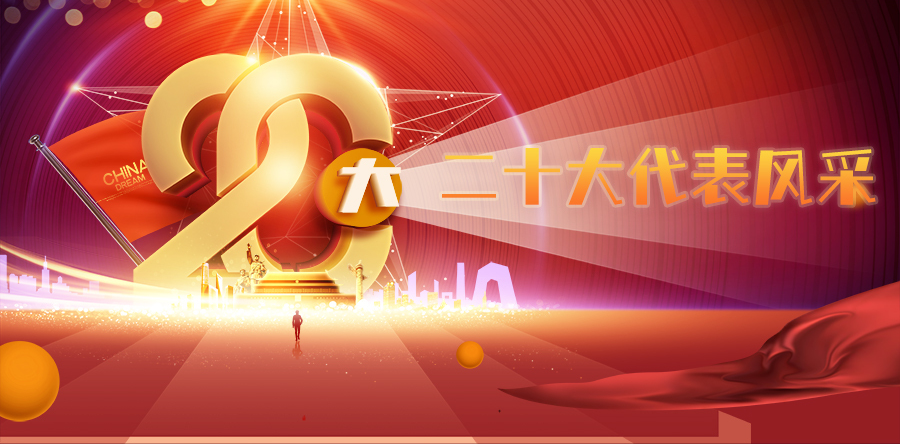 党的二十大代表风采