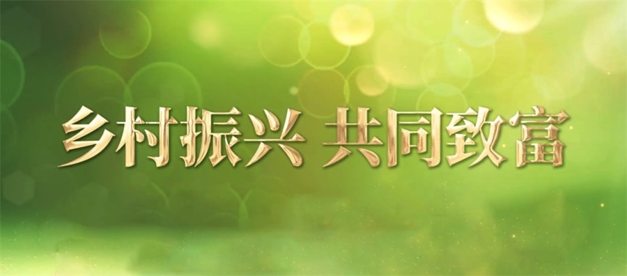 乡村振兴 共同致富