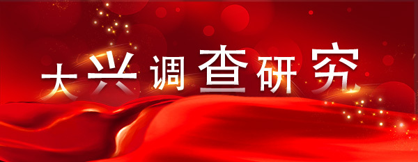 大兴调查研究