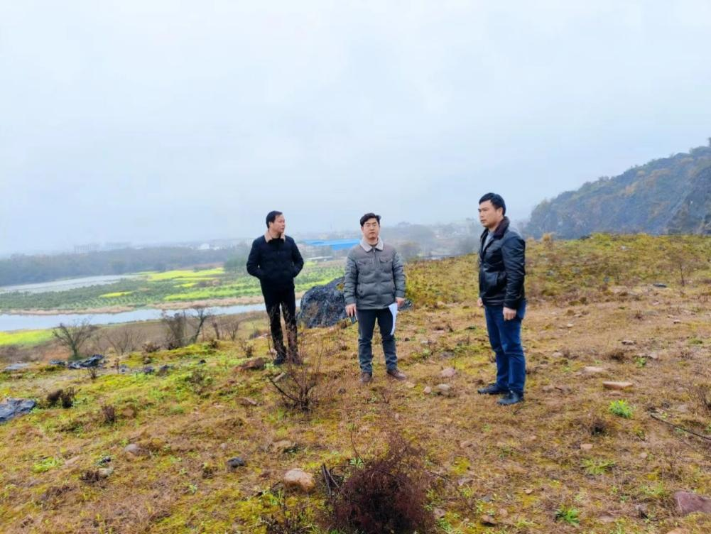 永州市自然资源和规划局对江永县生态 修复项目工程进行复核与指导