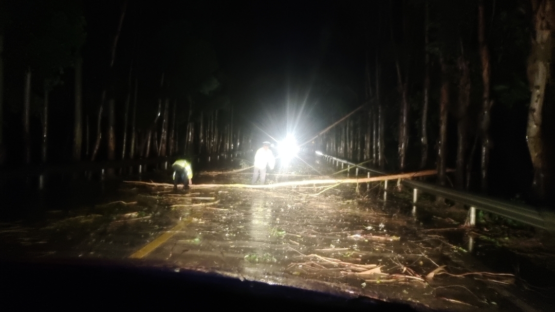 江永：雨天树枝阻路 交警全力清障