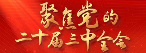 学习贯彻党的二十届三中全会精神 