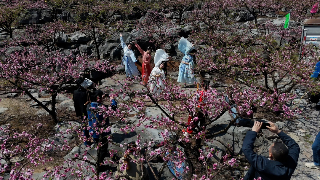＂十里桃花，香约江永＂江永县第二届桃花节盛大开启