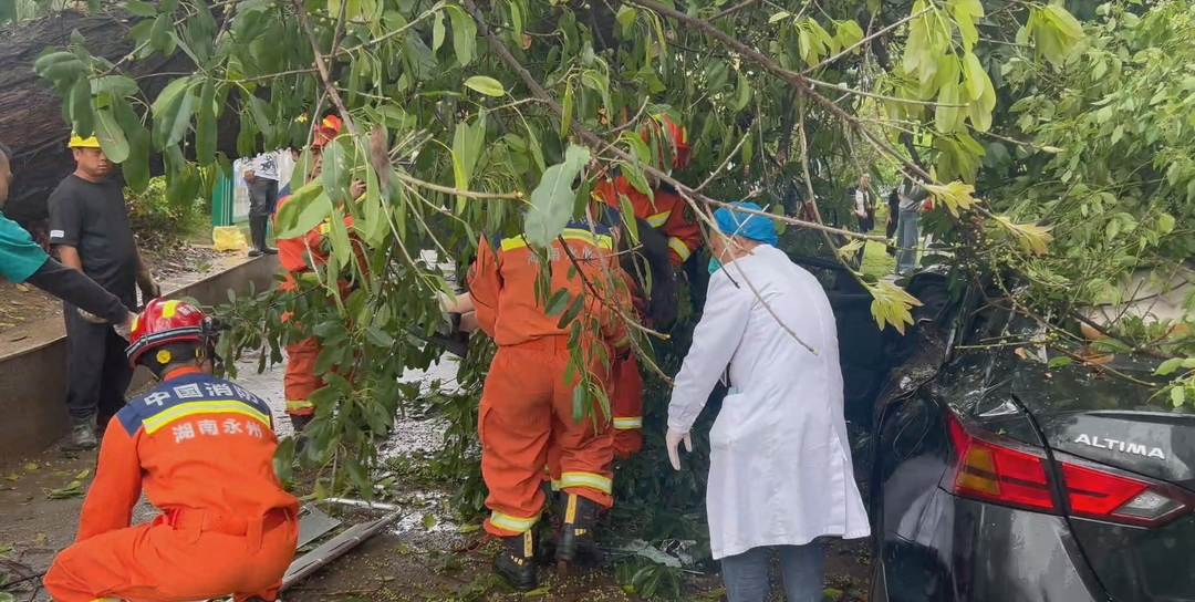 江永：强对流致大树倒伏 消防紧急救援被困驾驶员