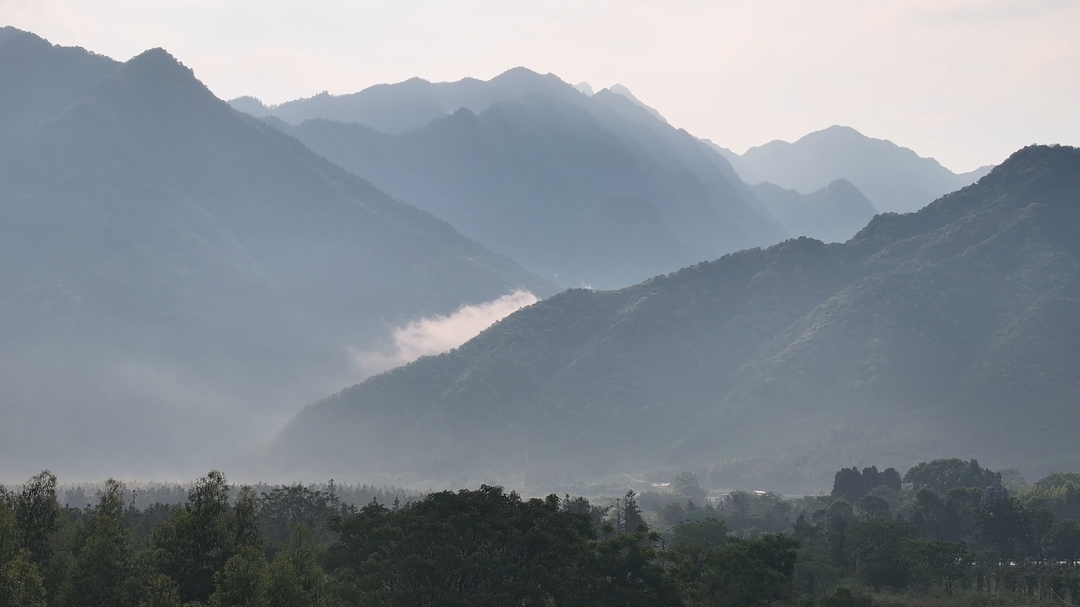 千家峒：云雾烟雨“熏出”生态“山水画”