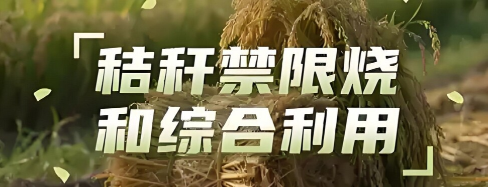 秸秆禁限烧和综合利用