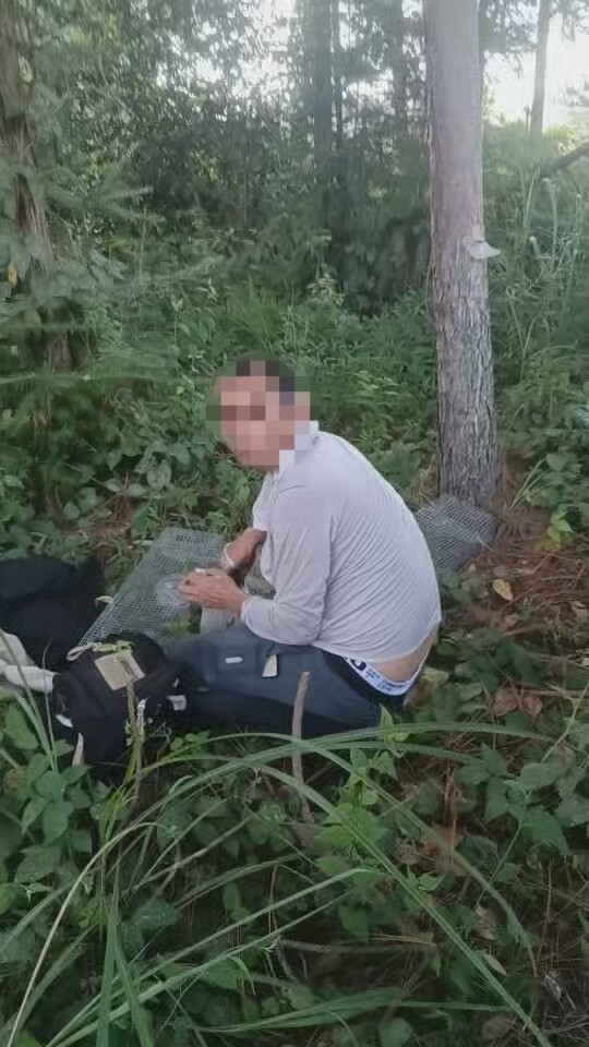 江永：护林员勇阻非法猎捕，守护野生动物家园
