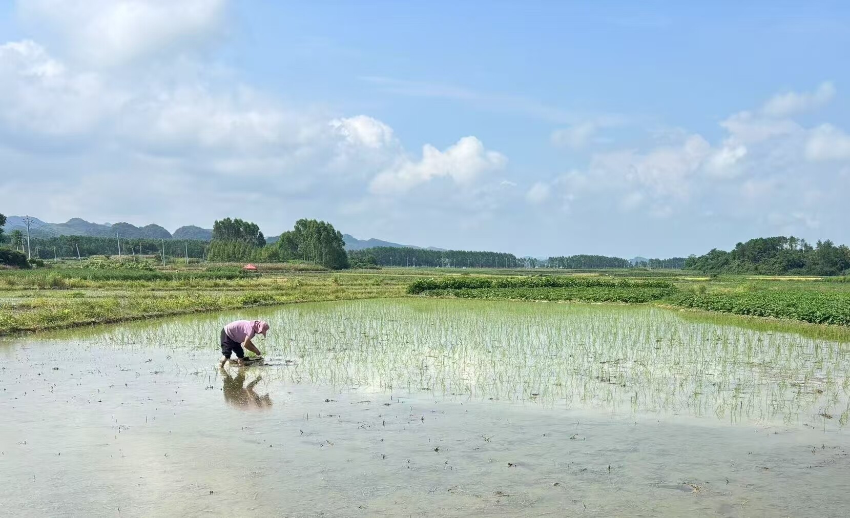 夏层铺镇：铭记初心服务三农 扛牢粮食安全责任