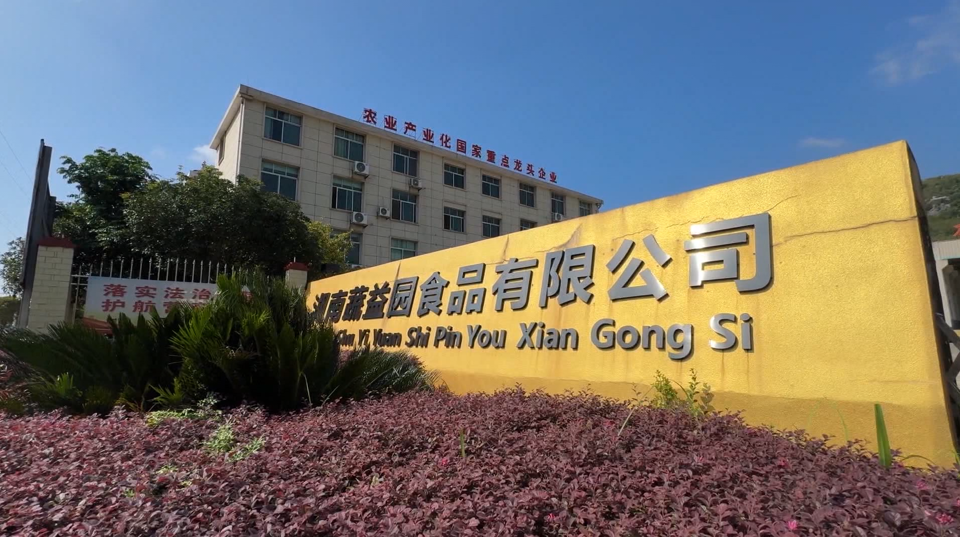 張四玲：以信立身 做有家鄉(xiāng)情懷的創(chuàng)業(yè)者