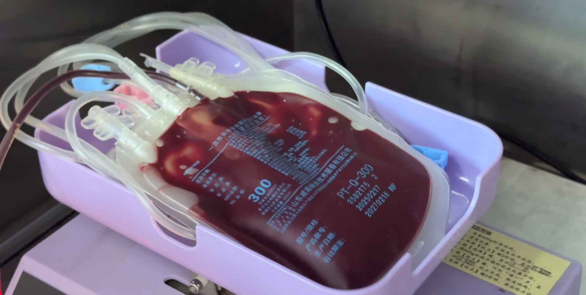 夏层铺：热血传递生命希望