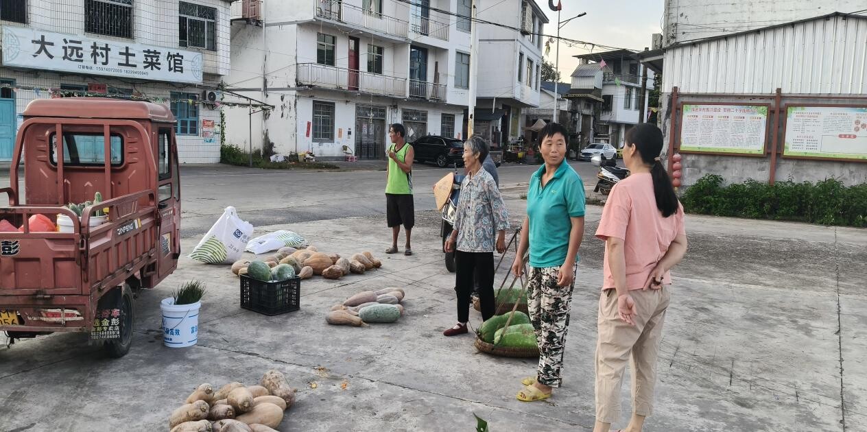 千家峒瑶族乡：党支部搭台助销   解菜农“卖菜愁”