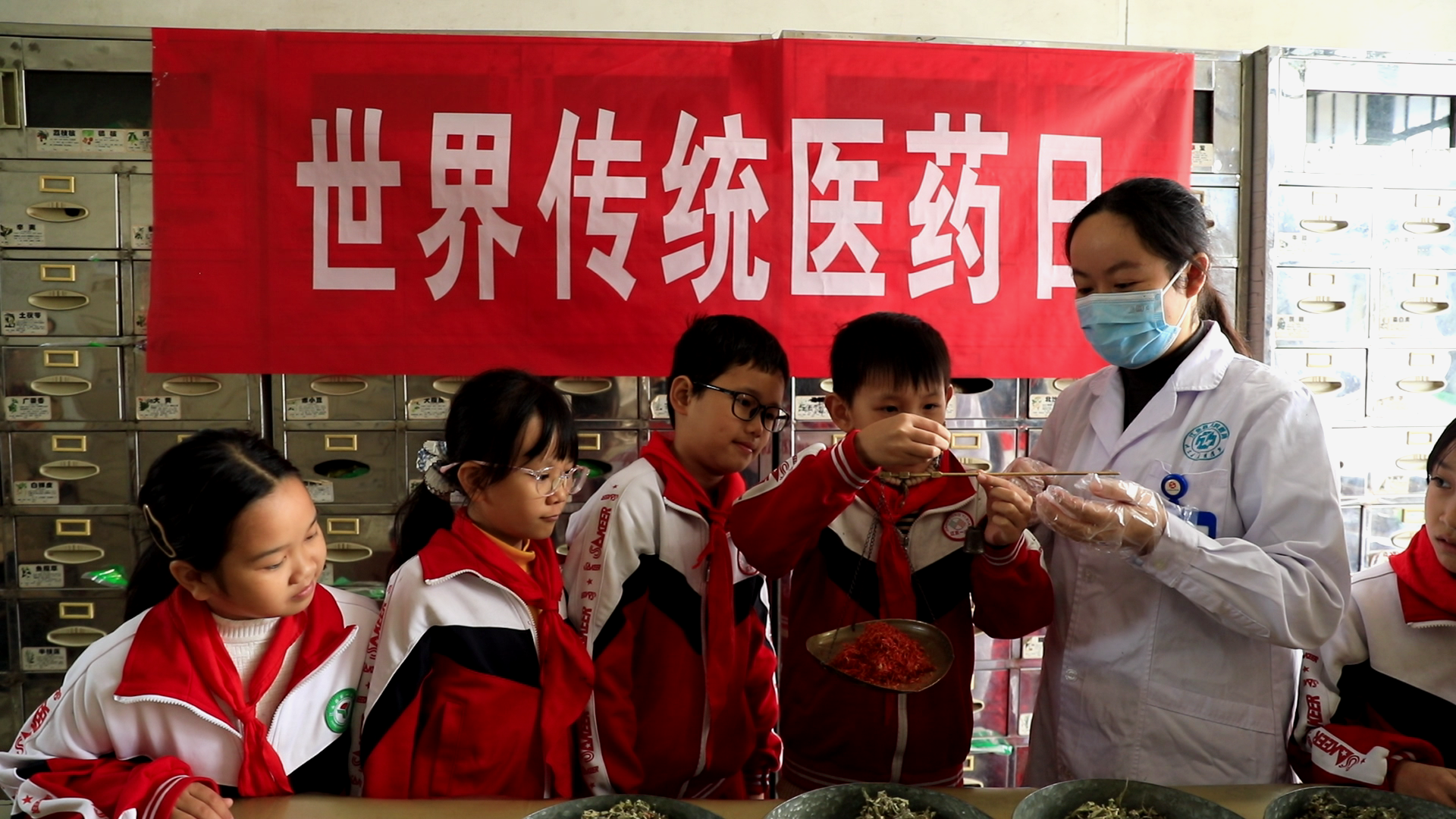 江永:世界传统医药日 体验中医药文化