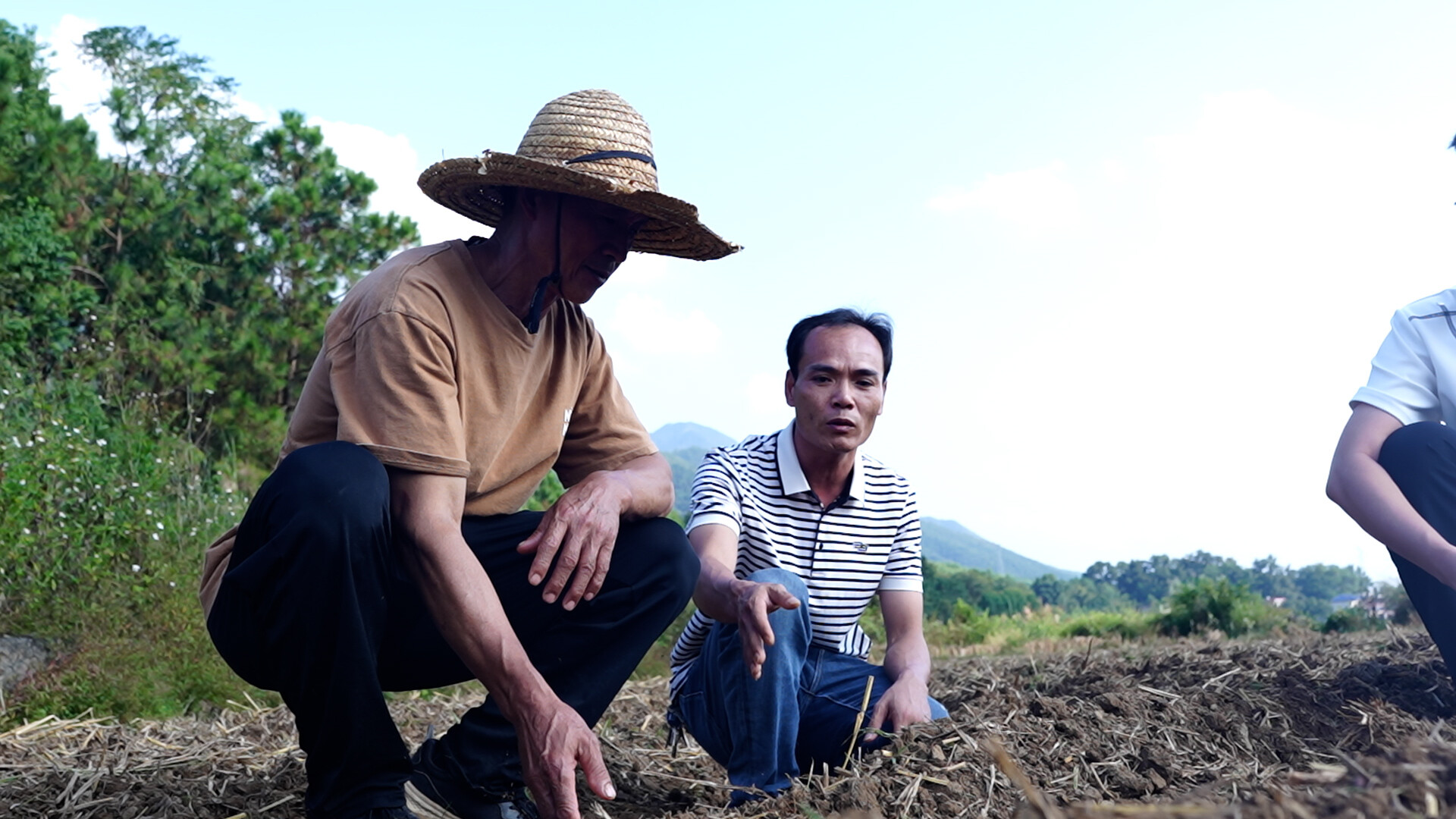 江永:以“早”破局 按下秋冬种“快进键”