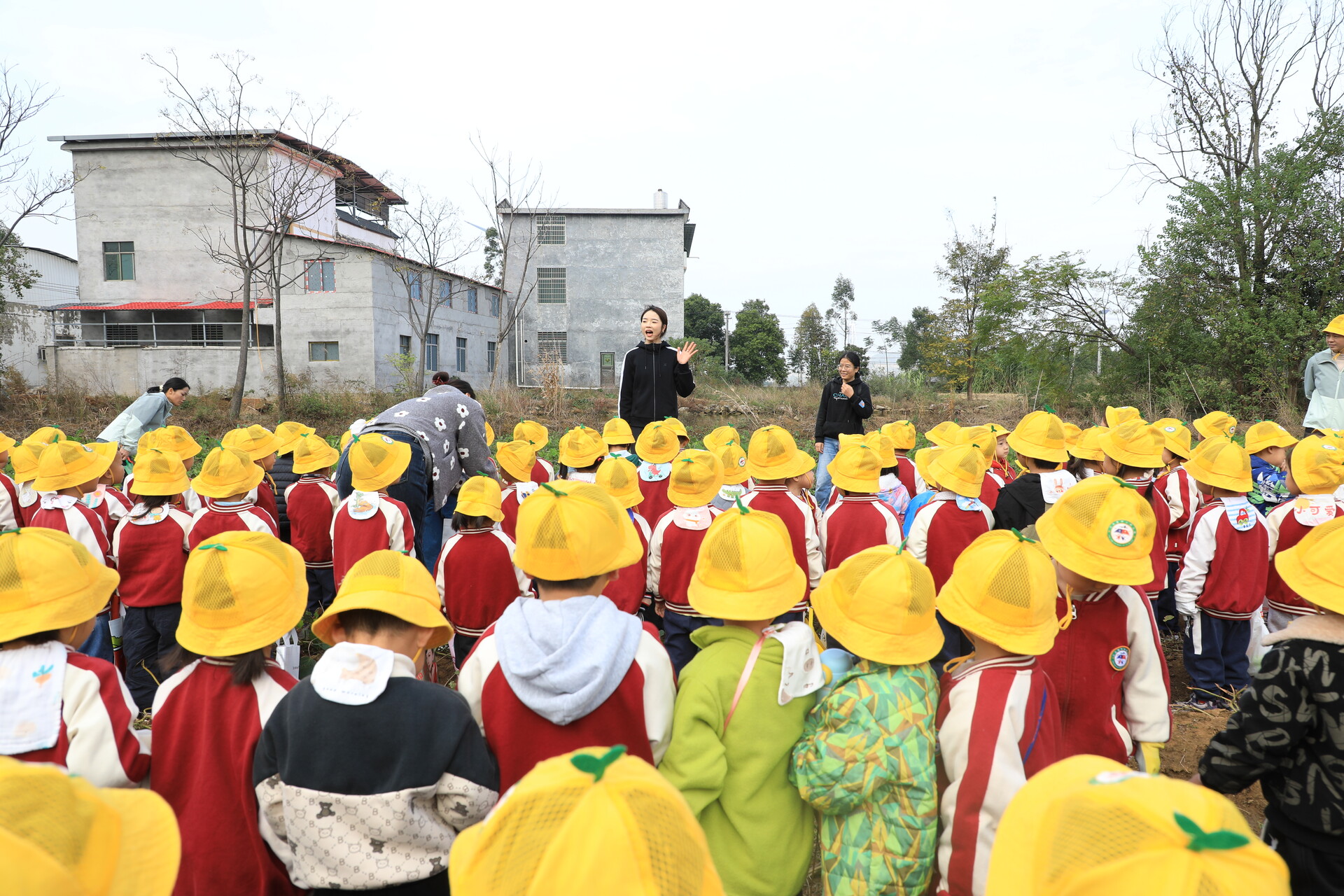 江永：萌娃田间挖红薯 乐享丰收悟农事