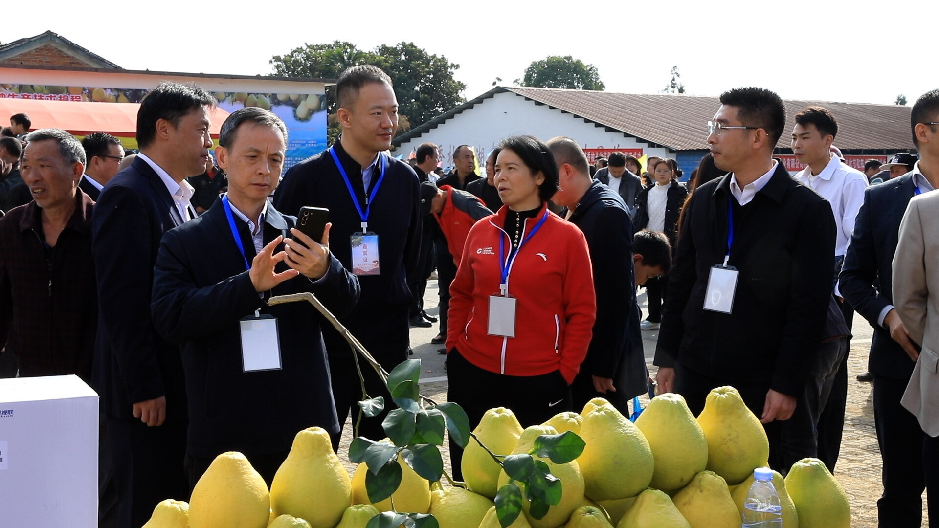 江永：庆香柚丰收节 促农文旅发展