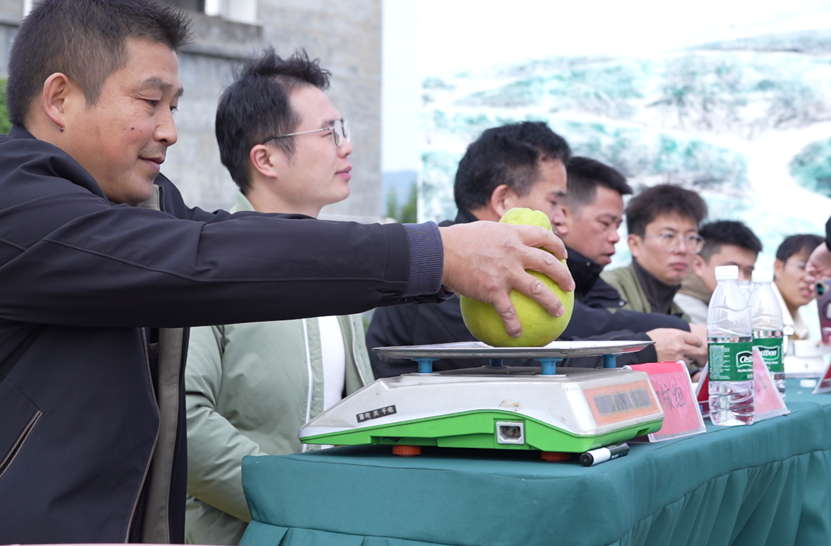 粗石江：举行“十佳香柚”评选活动