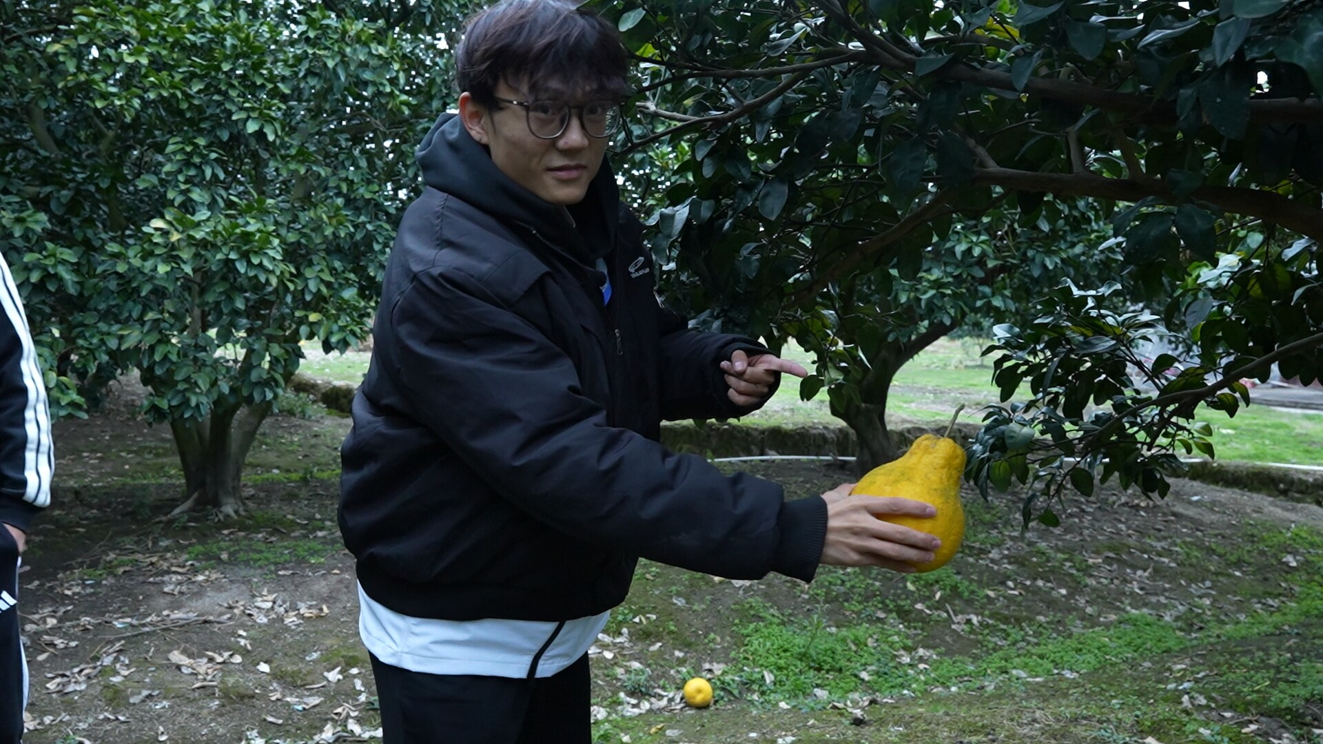 江永：冠军流量赋能乡村振兴 直播带火香柚