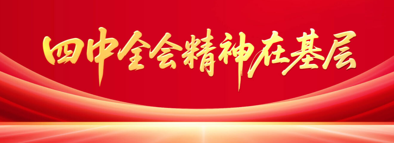 党的二十届四中全会精神在基层