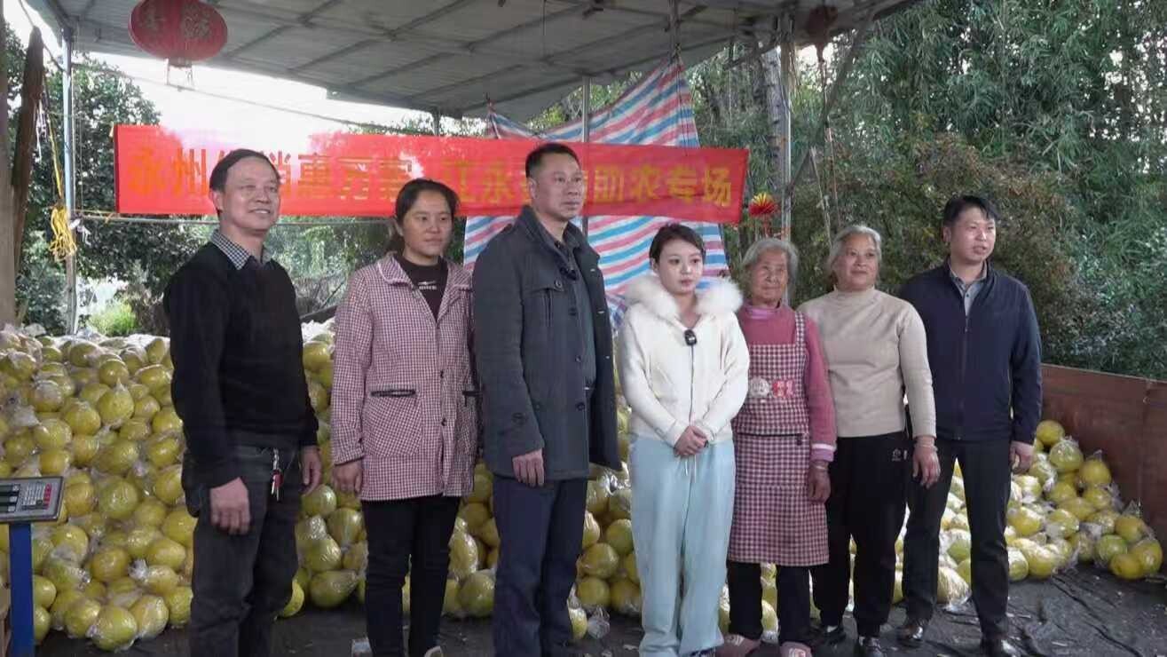 供销直播搭桥梁 江永香柚半天热销20万斤