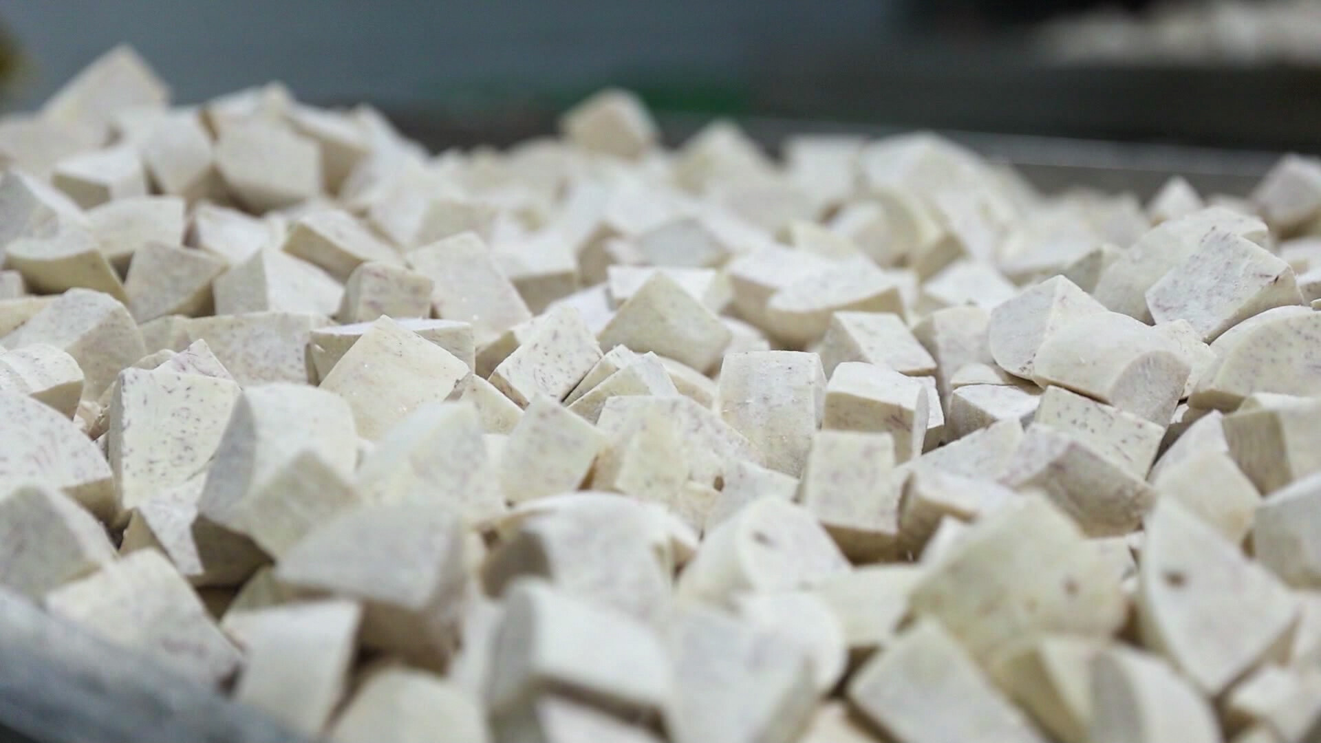 江永：香芋加工企业开足马力 跑出产业升级“加速度”