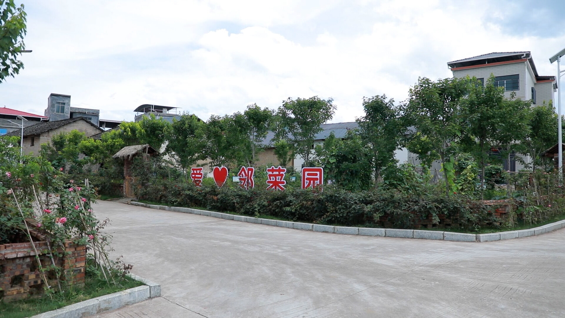 （新春走基层）小小“邻菜园”种出和美乡村新年味