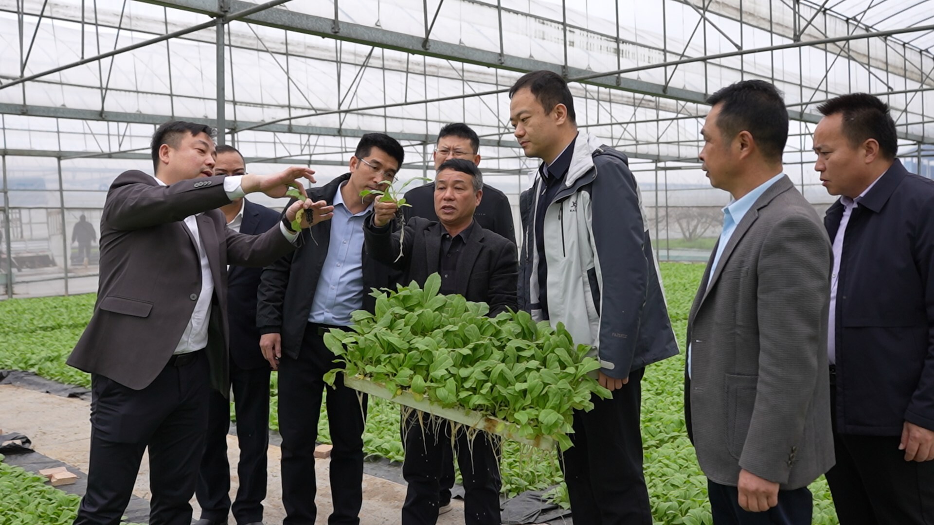 于思洋带队开展农业农村专题调研 把脉春耕备耕促发展