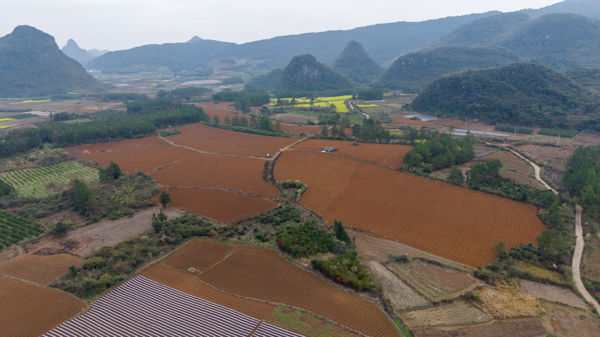 江永：木薯移栽忙 因地制宜好 “钱” 景