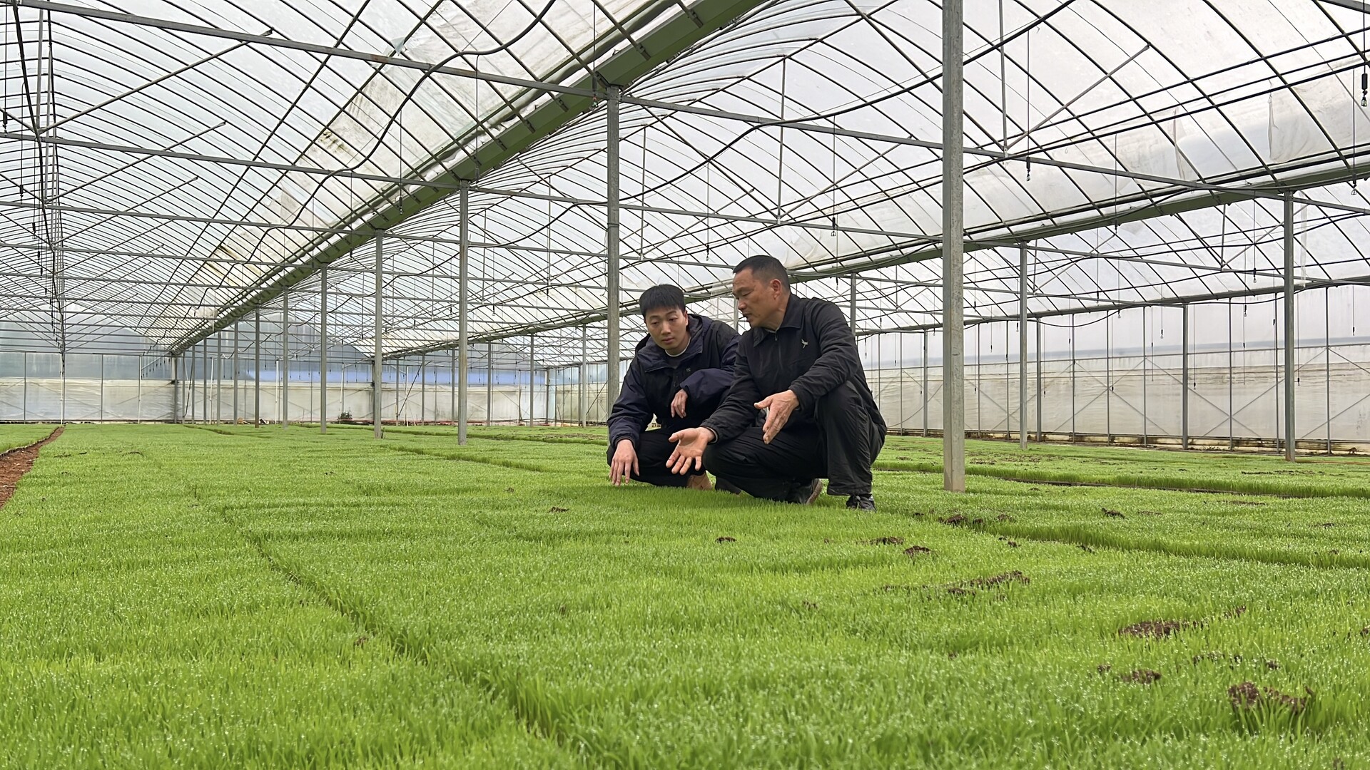 江永：智能育秧提质提速 田保姆护航早稻生产