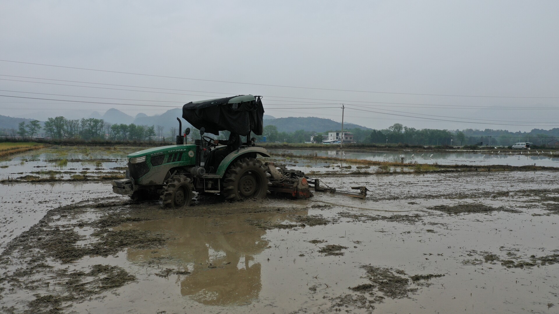 江永：白鹭伴耕绘美景 生态春耕入画来