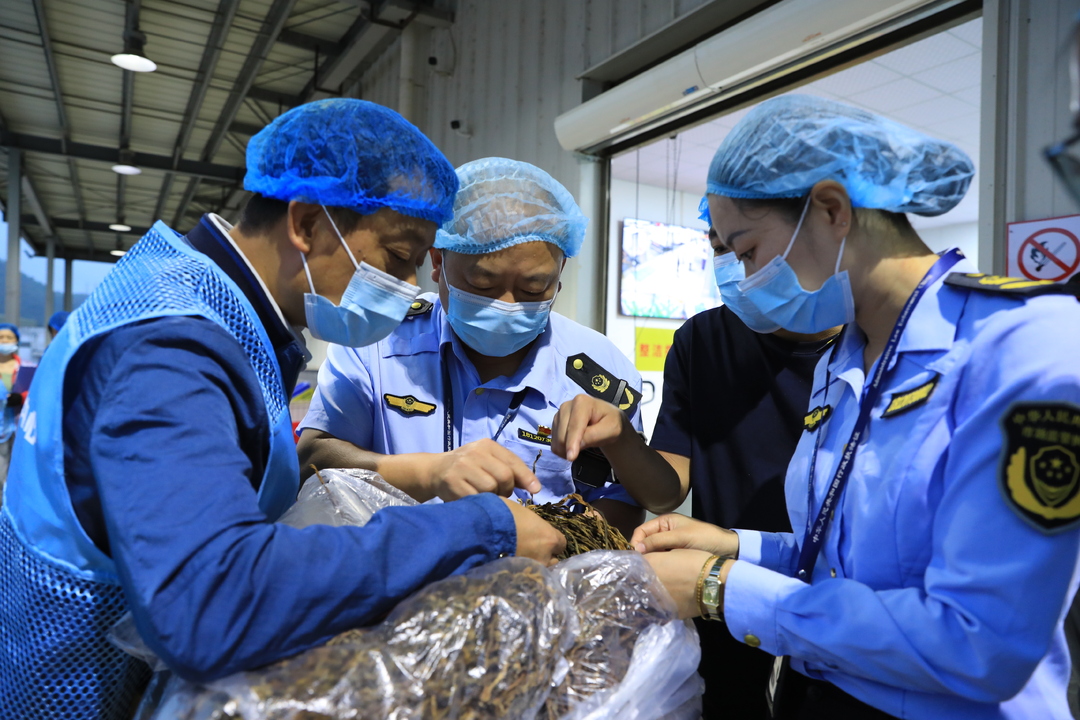 开展校园食材配送企业专项检查 严把新学期“舌尖安全”第一关