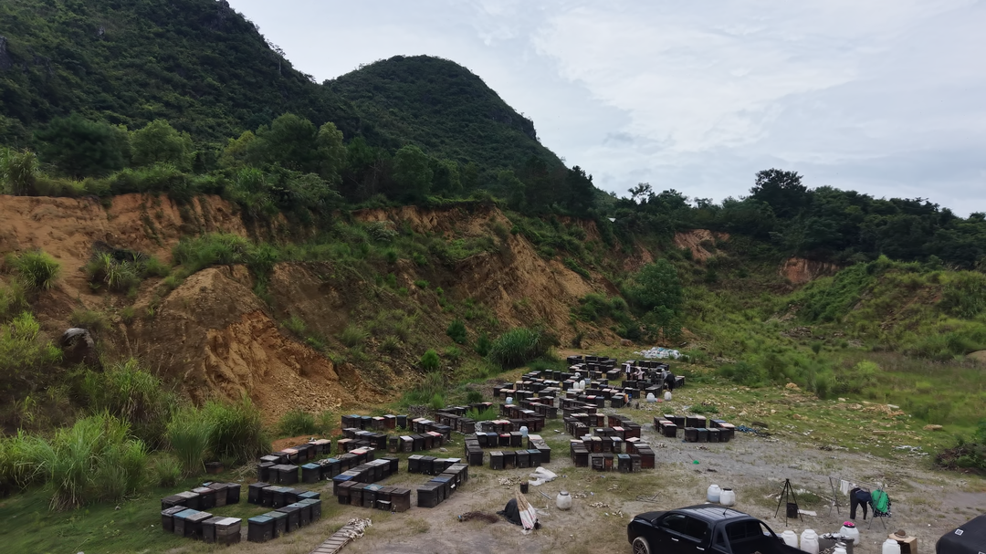 江永：蜂蜜采收正当时 林下产业铺就乡村振兴“甜蜜路”