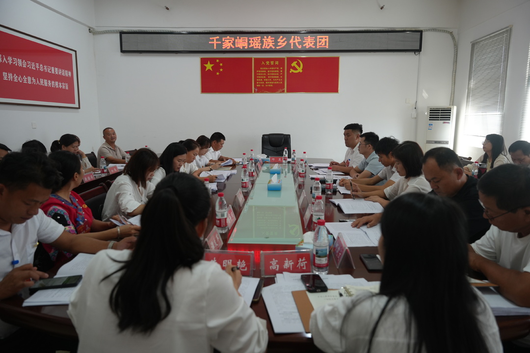 各代表团审议政府工作报告