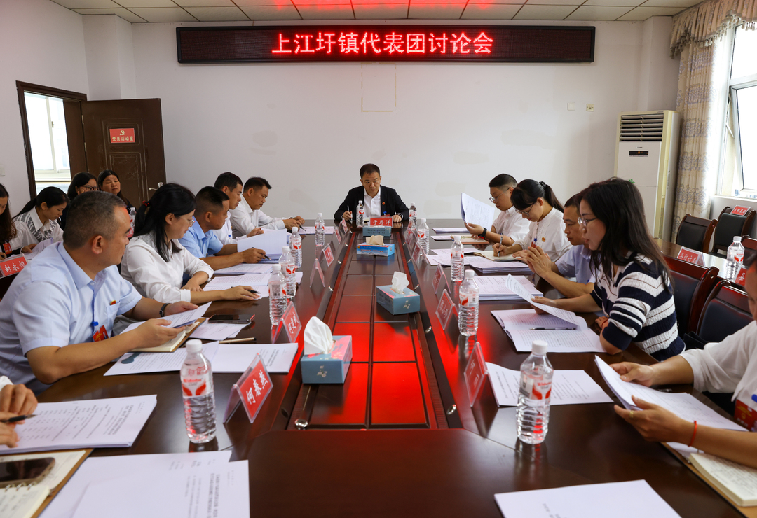 于思洋参加上江圩镇代表团讨论